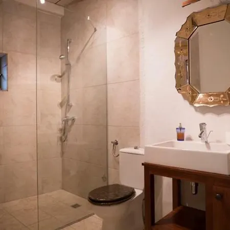 Luxury Stone House * Kaprije